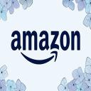 Amazon Store Card Methode Icon