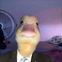 Ducky Lounge 2.0 Icon