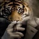 ToeTickling paradise Icon