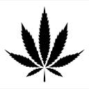 Chronic Lounge 18+ Icon