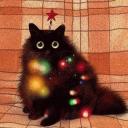 euvo’s sleepover Icon