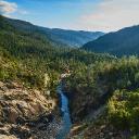 Viridescent Valley Icon