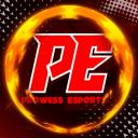PROWESS ESPORTS Icon