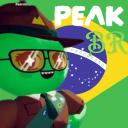 PEAK | BR Icon