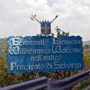 Seborgans_Communitt #all of us Icon