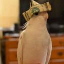 卄工-下工Vモ's server Icon