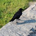 cljannie522's server Icon