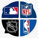 League of Sports Icon