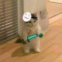 Türkiye Minecraft sunucusu. Icon