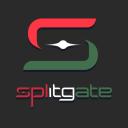 Splitgate Hungary Icon