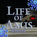 Life Of Amis Icon