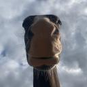 Libertarian + Centrist Furries Icon