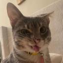 arab cafe عرب كافيه Icon