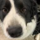 Moi dans la rue Icon