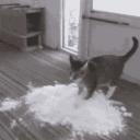 S.O.L.Y Squad СНГ Icon