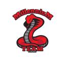 MillenniuM 2.0 Icon