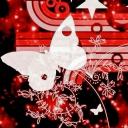 سيرفر الملجأ Icon