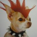 We don’t like hip hop Icon