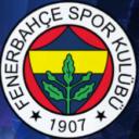Fenerbahçe Icon