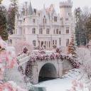 🌸IVY IN BLOOM 🌸 Icon