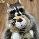 Vuruta 𓆩♡𓆪 Icon