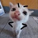 Goofy n Silly Kingdom Icon