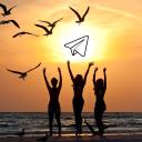 Telegram News Noticias Notizie Icon