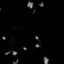 ami's hangout spot Icon