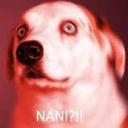 404:Server Not Found Icon