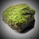 The Moss Icon