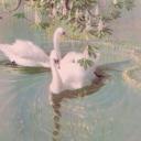 🎀•. bambi .•🎀 Icon