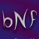 bNf Group Media Icon