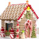 Ginger read house Icon