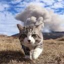 Sinners sanctum Icon