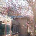 serenity paradise !! Icon