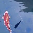 ?.YesterMorrow.? Icon