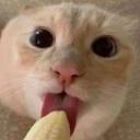 Fluff's Hangout Room Icon