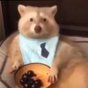 Another Server. Icon