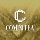 Cominitea Icon