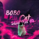 @imbobocat | Cat Server Icon