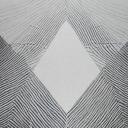 INITIATIVE:RESTORITIE Icon