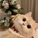 Horchata Café 🎄 Icon