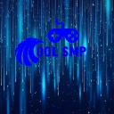 Coolsmp Icon