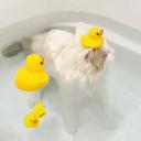 House do hospício Icon