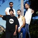 Terracotta Pie! Icon