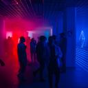 Digital District Icon