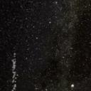 The White Clover Icon