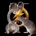 Ratpulse Icon