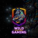 WildGaming PT Icon