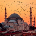 Theology & Debates Icon